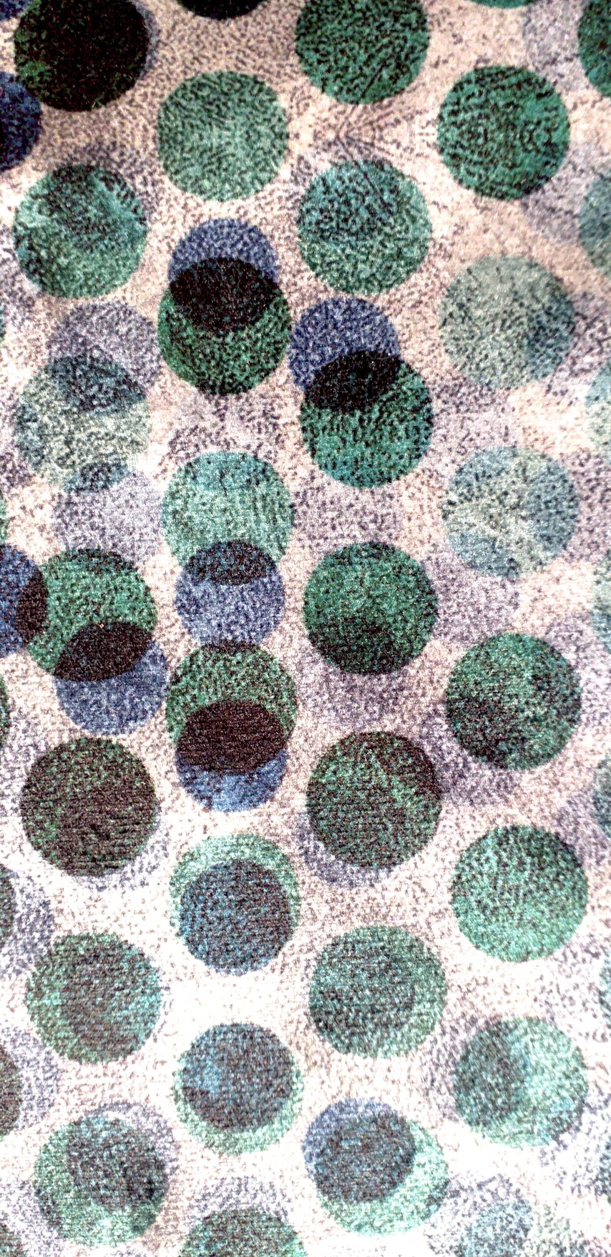 Pois - Image 2