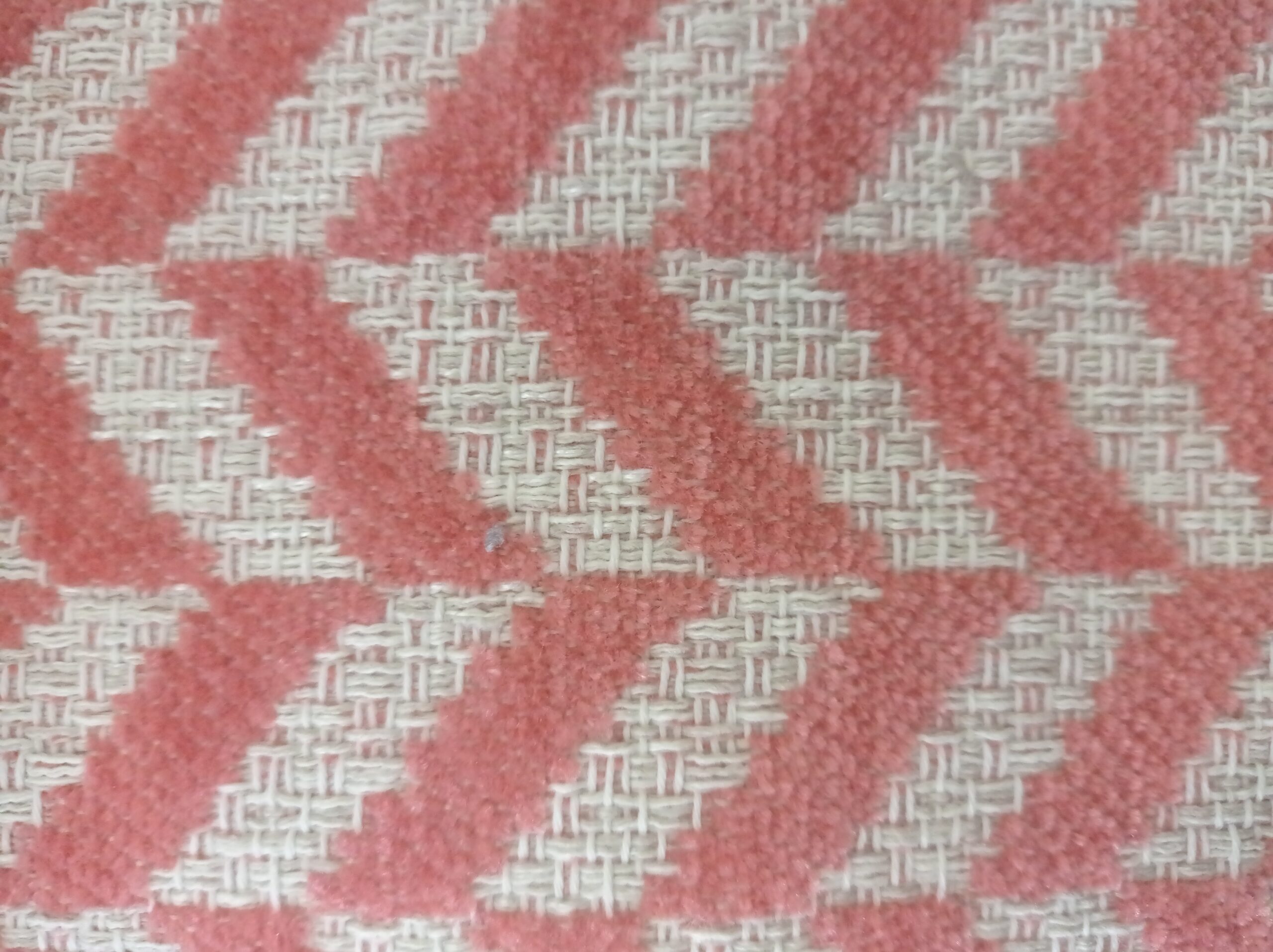 FANCY RESCA - Image 3