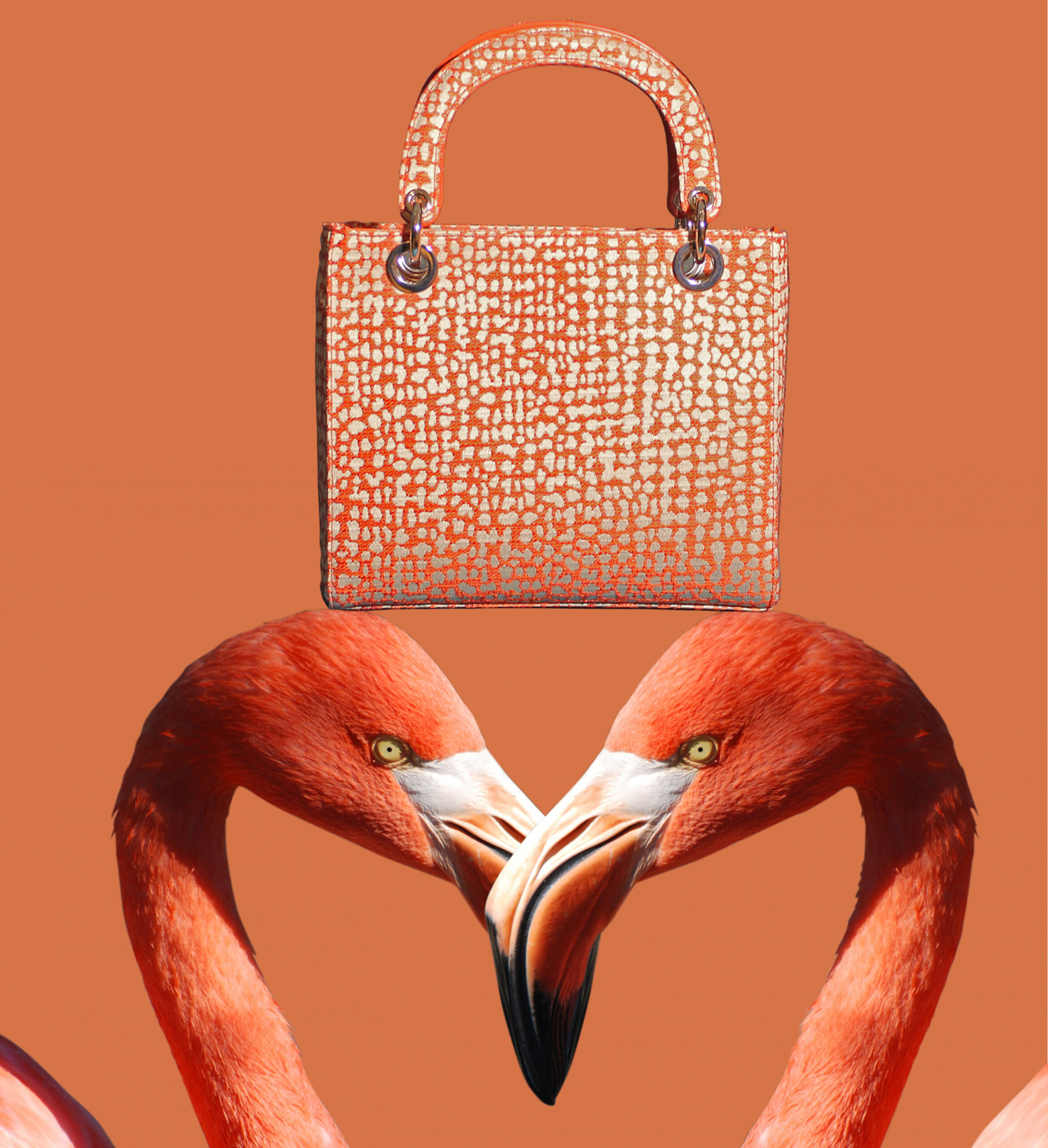 SPOTS Bag
