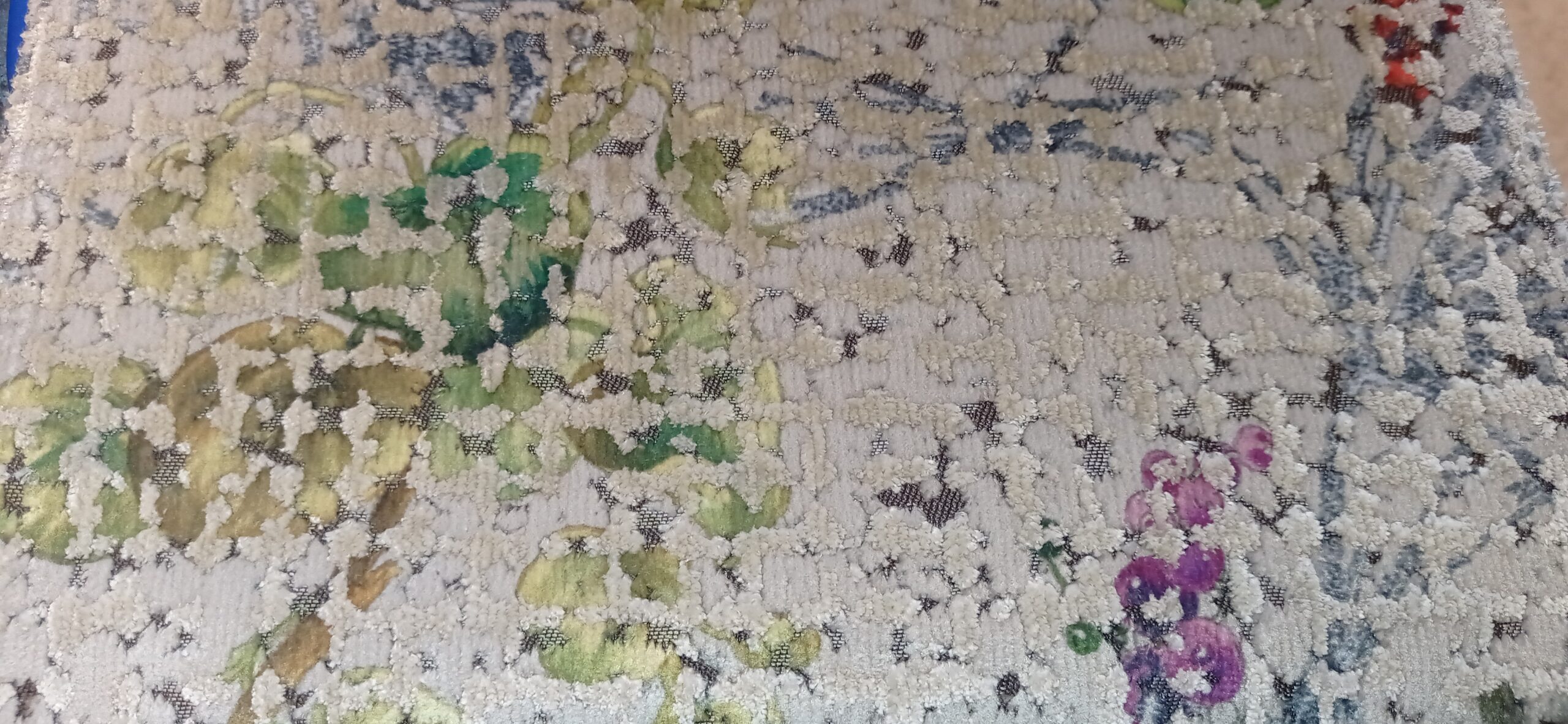 BOTANICO - Image 4