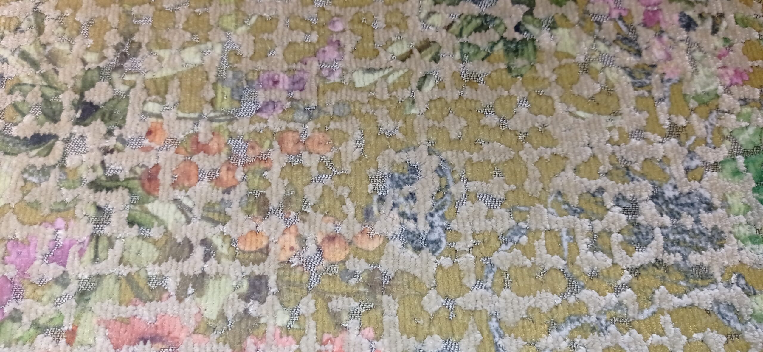 BOTANICO - Image 2